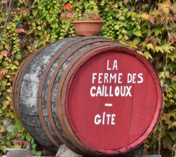 La Ferme Des Cailloux Villa Sassay ภายนอก รูปภาพ